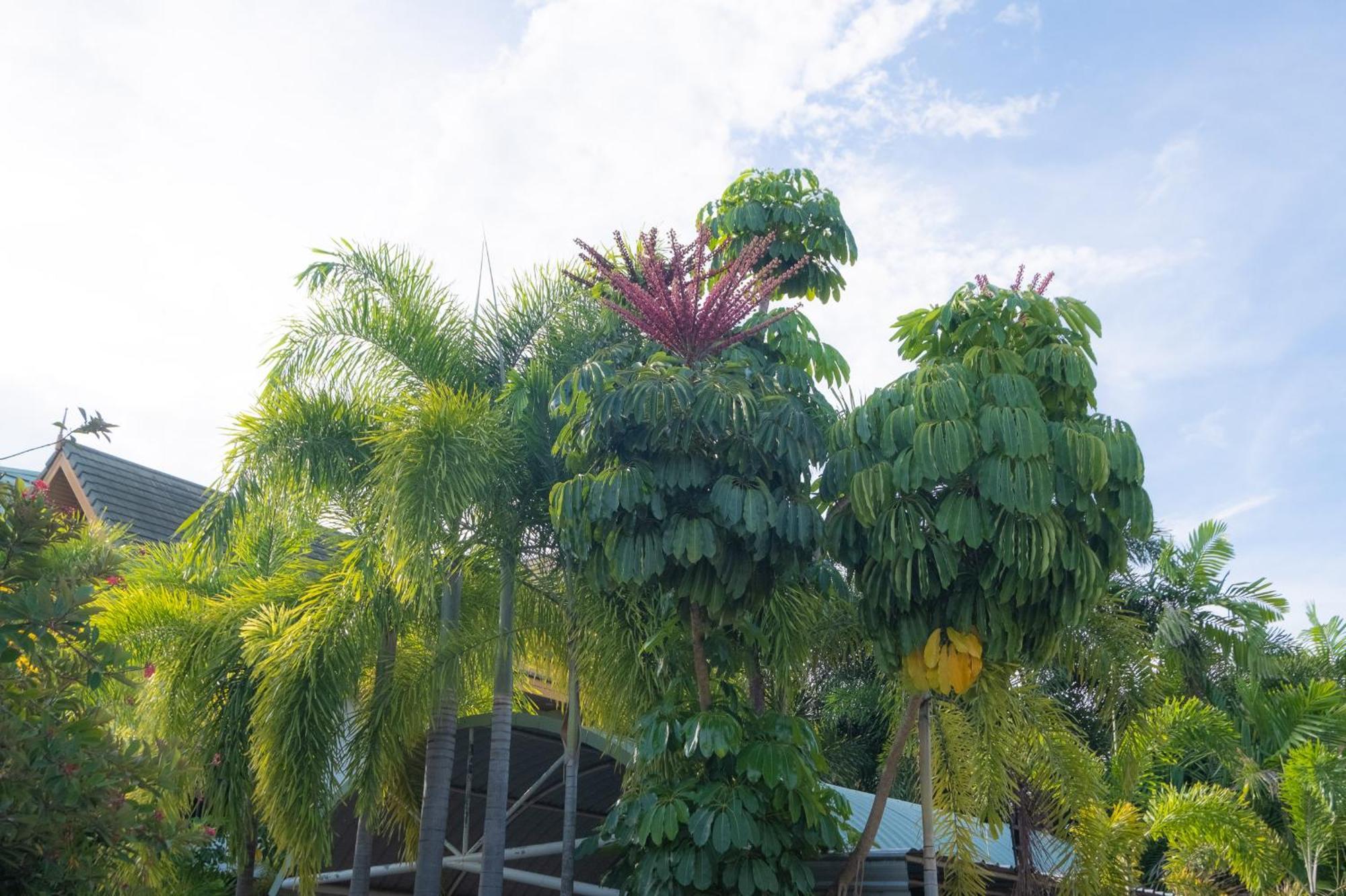 Blue Beach Grand Resort And Spa In Chalong Phuket By Dayuu Ban Saiyuan المظهر الخارجي الصورة